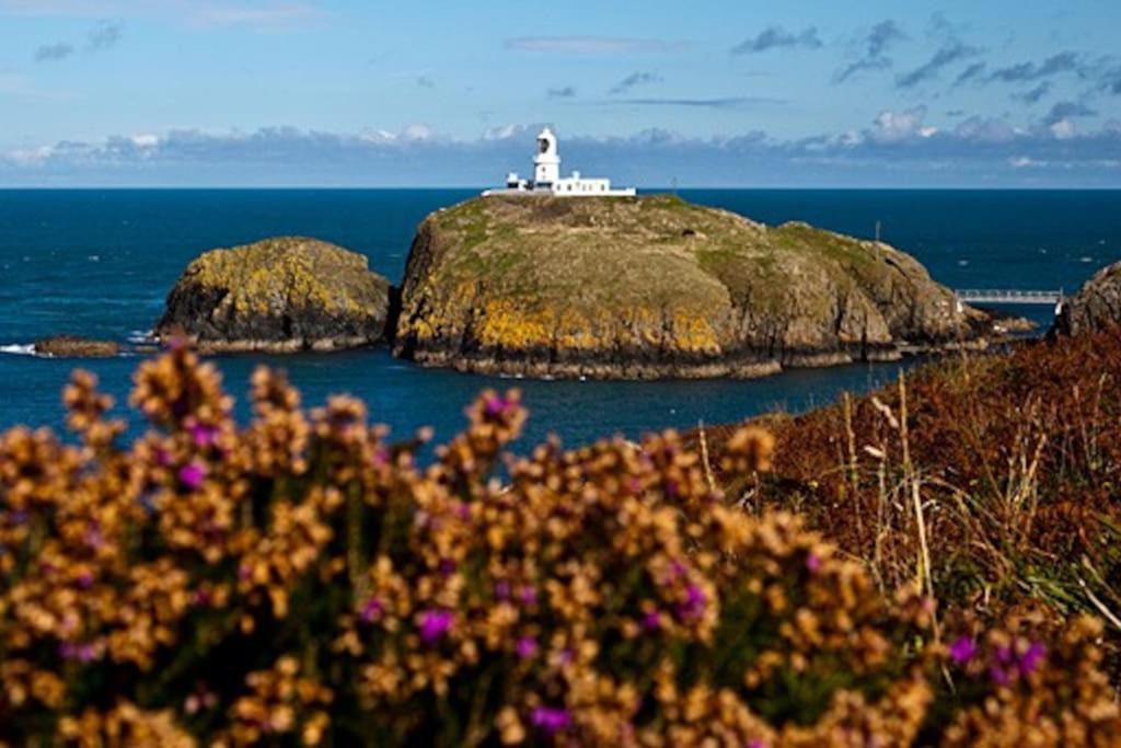 Pembrokeshire Apartment Goodwick Bagian luar foto